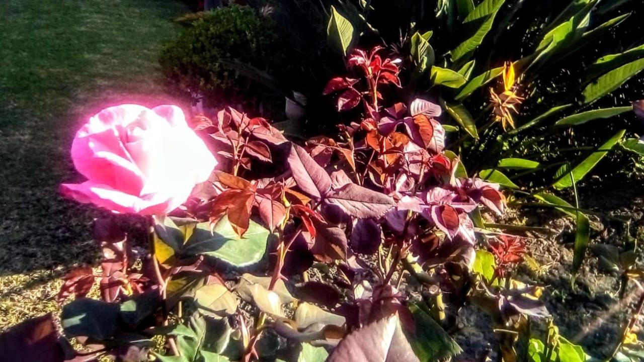 Hotel Quinta Del Sol Tepoztlan Ngoại thất bức ảnh